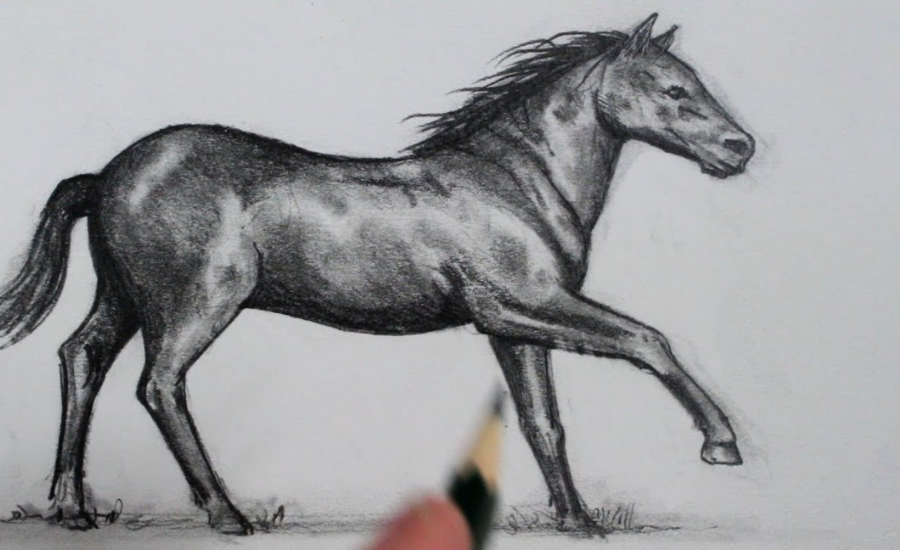 Drawing:v74uyhgg9tq= horse