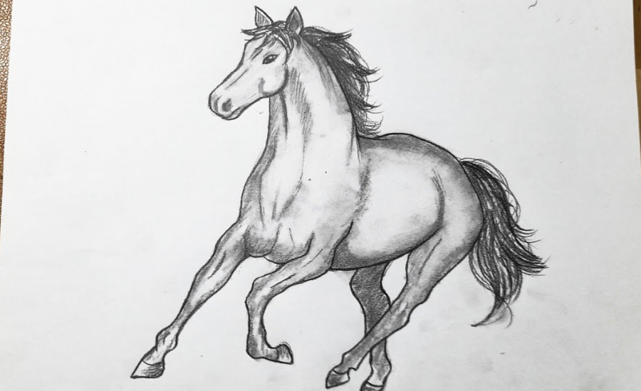 Tools And Materials For Horse Drawing