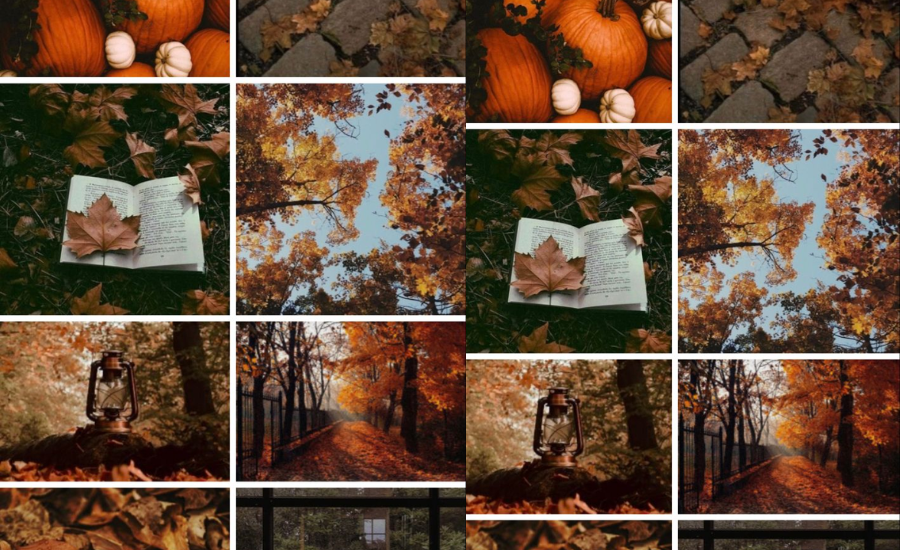 The Beauty Of Fall: Colors And Themes