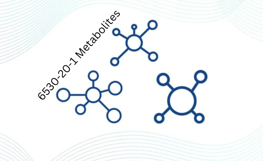 Exploring the 6530-20-1 Metabolites Pathways and Significance