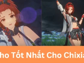 Echo tốt nhất cho chixia