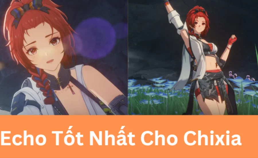 Echo tốt nhất cho chixia