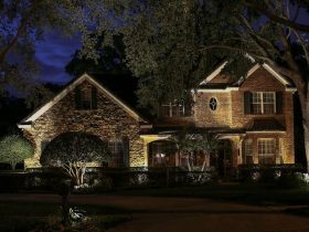 Bring Your Garden to Life with Top Outdoor Landscape Lights in Orlando, FL