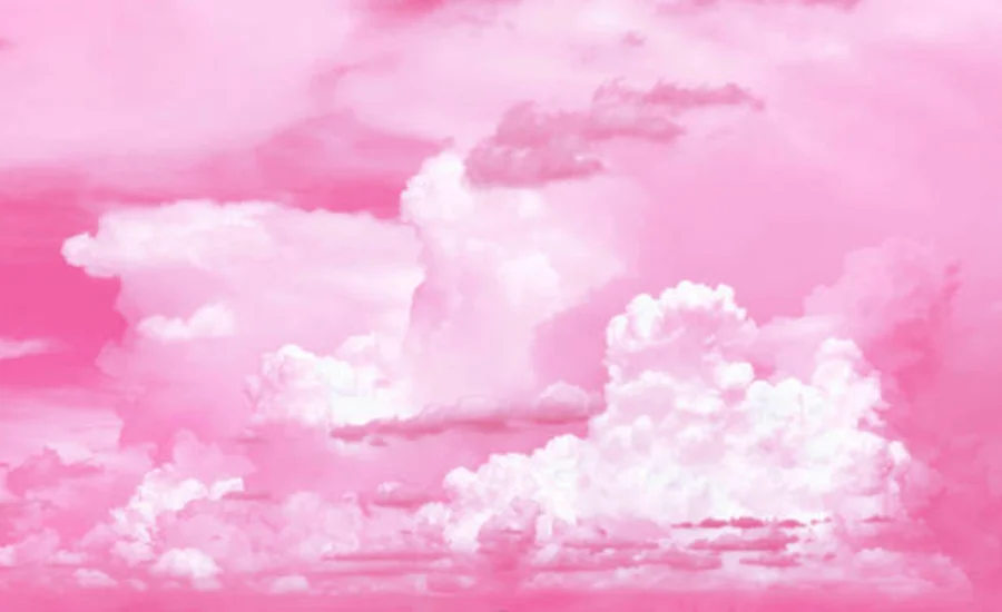 Pink:gdxr6qp7qy0= wallpaper